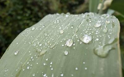 Aterkia eta jertsea eskura