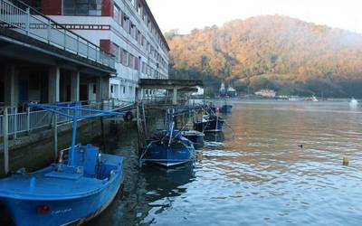 Euskadiko Anguleroen Elkarteak epaitegietara jotzea erabaki du angularen arrantzaren debekuaren aurrean