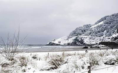 'Azkenengo elurtea hondartzan' (Nerea Allika)