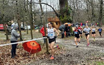 Atletismoa, xakea, mendia, pilota eta gimnasia erritmikoa