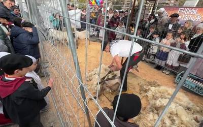 Ardi-moztailea eta perratzailea lanean, bertatik bertara