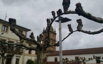 Barrikako Udalak argiztapena berritu du oinezkoen segurtasuna hobetzeko