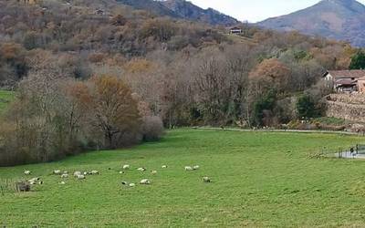 Hainbat hobekuntza egiten ari dira Zugarramurdiko leze inguruan