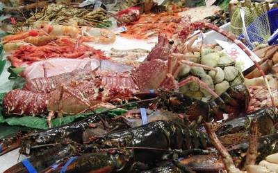 Floreaga ikastetxeak dohaintzan eman ditu Gabonetako zozketako sariak