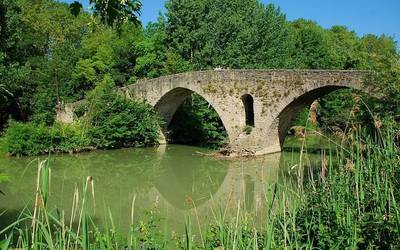 Arga ibaiko urak ez du kutsadura-zantzurik, Magdalenatik igarotzean