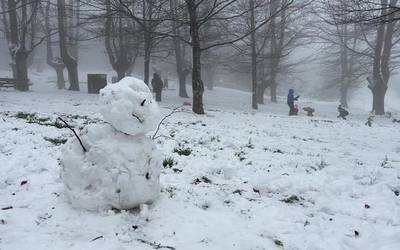 Zuriz jantzi da Debagoiena Errege egunean