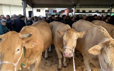 Behirik eta idi probarik gabeko San Blas azoka izango da aurtengoa