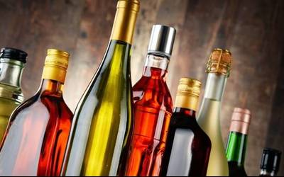 Alkoholismoak familia giroan duen eraginaz berba egingo dute Elgoibarko Kultur Etxean