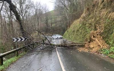 Zuhaitz bat bota du haizeak Zudugarai gainetik Aiara arteko errepidean, eta bidea itxita egon da bi noranzkoetan