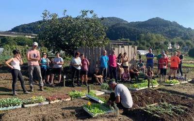 Astelehenean zabalduko dute herri baratzetarako eskaerak aurkezteko epea