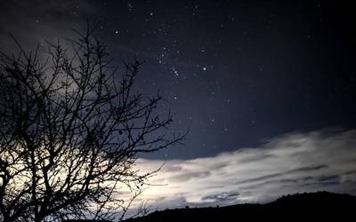 Tarteka hodeitsu, baina hotz larregirik ez