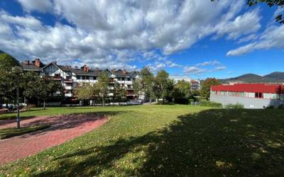 Durangoko EH Bilduk dioenez, udalak "aurreikusitakoaren % 18 baino ez du bideratu" Zumar kaleko zuhaitzetara