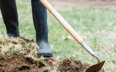 Eskualdean zortzi peoi balioanitz kontratatzeko lan deialdia egin du Debemenek