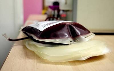 Urteko lehen odol ateratzea egingo dute bihar, Elgoibarren