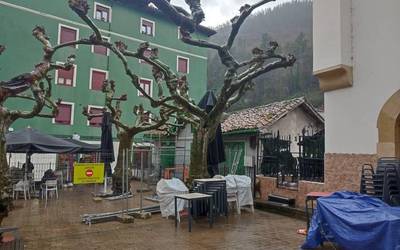 EAJ/PNV udal taldea ez dago ados Plaza Zaharreko zuhaitza moztearekin