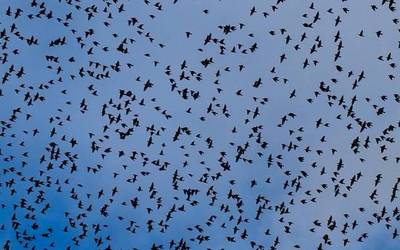 Haize indartsua goizean