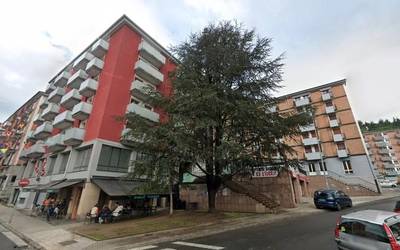 Zuhaitz bat kenduko dute Musakolan, haren tamaina handiak ondoko etxeei kalte egiten dielako