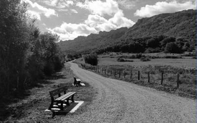 Sakanako lexia konposatuak (XVII)