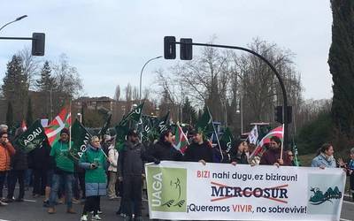 Traktoreak Gasteizko asfaltora itzuli dira