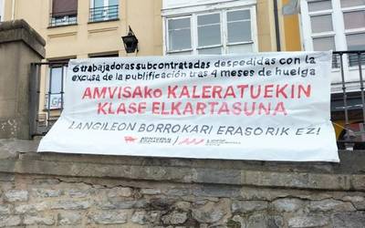 Publifikazioa Amvisan interes alderdikoiak edo langileen interesak?