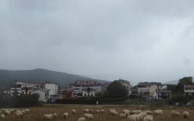 Udalak lursail generikoa emateko deialdia egin du