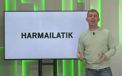 'Harmailatik': gol gabeko berdinketa Mondrak; Eskubaloi derbia arrasatearrendako; Dorletako Amako ziklisten aurkezpena; Jokin Etxabe nagusi Kobaz Koba