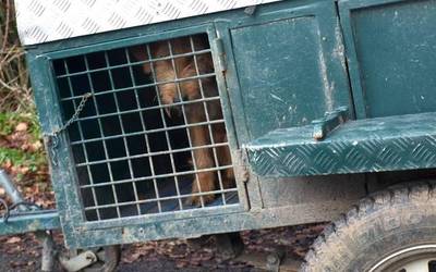 Aldundiak ehizaren aldeko kanpaina egingo du