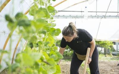 Lehen sektorean interesa dutenentzako bilera irekiak eginen dituzte Baztan-Bidasoan eta Mendialdean