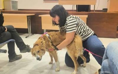 Txakurrentzako lehen sorospenen trebakuntza eskaini zuten atzo