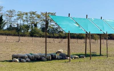 Eguzki panelek artaldeetan duten eragina aztertu dute