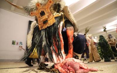 Eguraldi makurrak ez ditu makurtu kukumarru eta txorimaloak