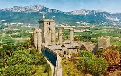 Garai bateko zaindari zaharra, azalera