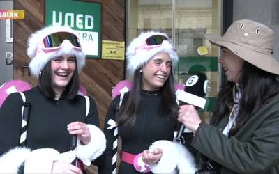 Aratusteek emandakoa herririk herri