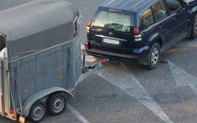 Aldundiak zigorrak jarriko dizkie Leioako Asto Probetan parte hartu zuten astoen jabeei