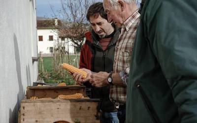 Tokiko artoaren eguna Zubietan