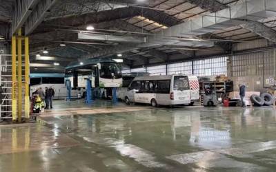 Albistegia: 2026-02-18