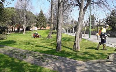 ELAk ez du Getxoko Udalak lorezaintza-zerbitzua berrantolatzeko hartutako erabakia begi onez ikusten