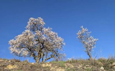 Asteburuko giroaren bidetik