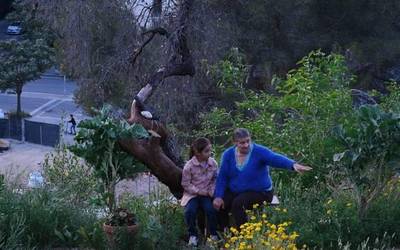 Bartzelonako aldirietako historia pusketak