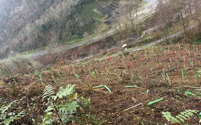 Bidegorri inguruko lursailetan balio natural eta paisajistikoa berreskuratzeko dirulaguntza berria eskuratu du Soraluzeko udalak