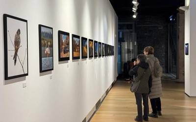 Azken egunak Arizondo Argazkizaleen elkarteko erakusketa bisitatzeko