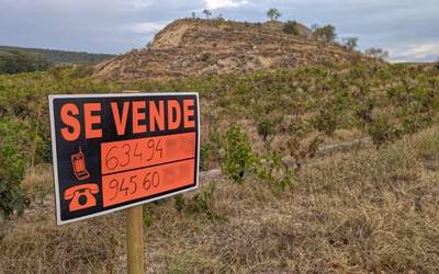 Mahastiak kentzeko aukera mahai gainean jarri du Lakuak