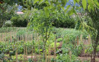 Nekazaritzan bertze molde baten alde