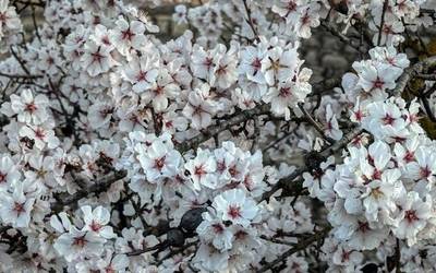 Mantenduko da, momentuz