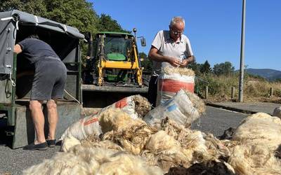 Artile bilketa sistema doakoa eta saka berezietan batutakoa izango da aurten