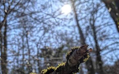 Aldaketaren lehen fasea