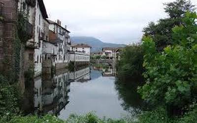 Hirigintzan xertaturiko zuhaitzen mantenua