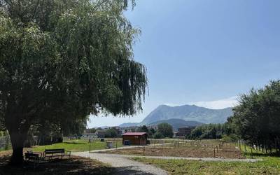 Gaur zabaldu da Abadiñoko ortu publikoetan libre geratu diren eremuak ustiatzeko izena emateko epea