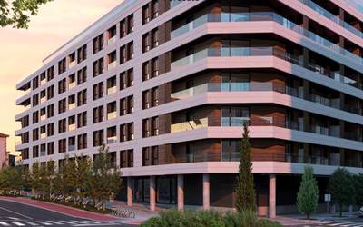 Albistegia: 2026-03-06