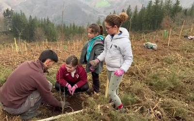 Soraluzeko Zuhaitz egunean 275 zuhaitz landatu zituzten Askabeitti inguruan